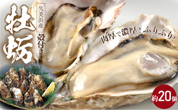 京都丹後・ 久美浜産殻付牡蠣（こちらの商品は日にち指定は受付できません。）