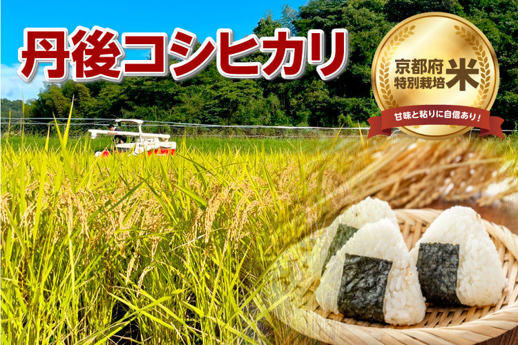 令和５年度新米！丹後うらら米　丹後コシヒカリ